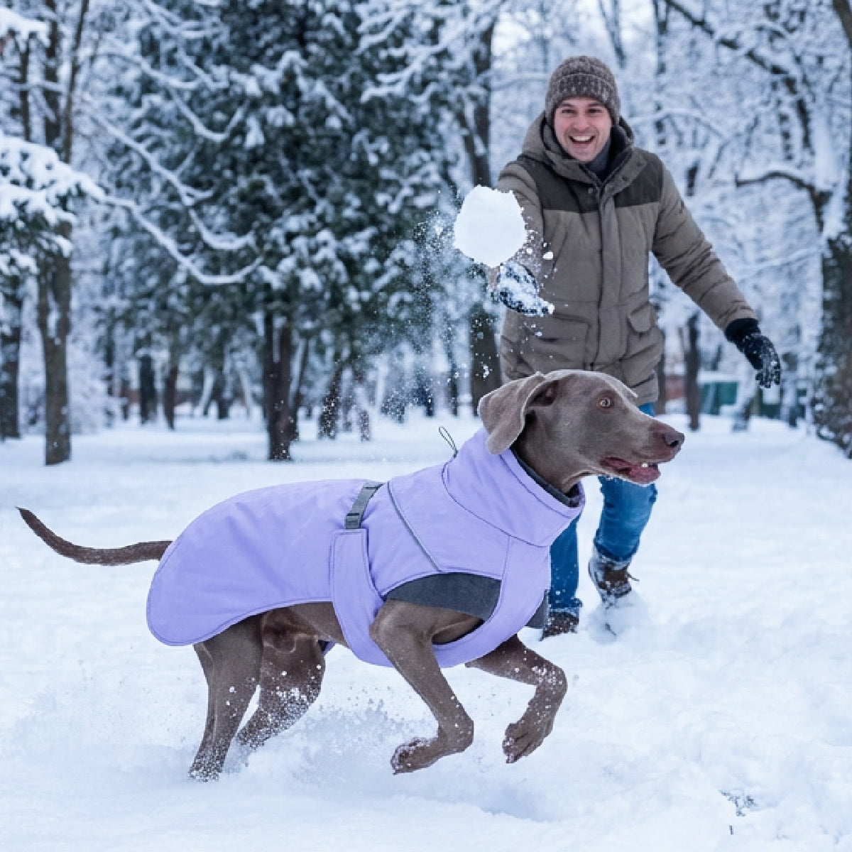 Winter Snug Dog Coat