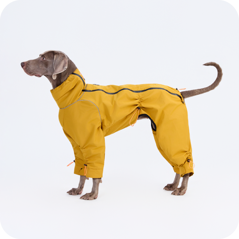 All-Weather Dog Jacket