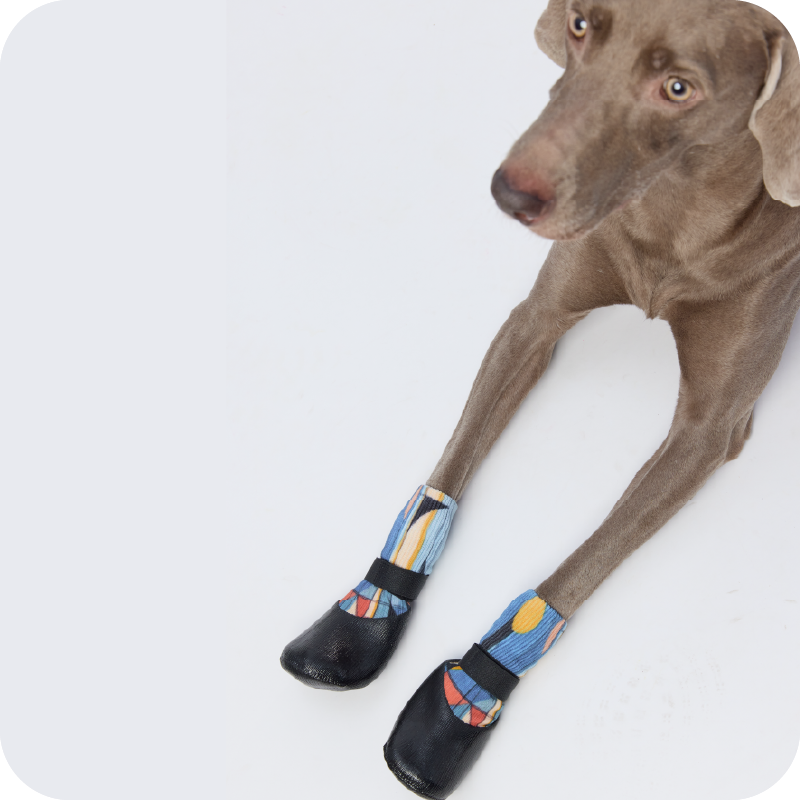 Designer Paw ShoeSocks