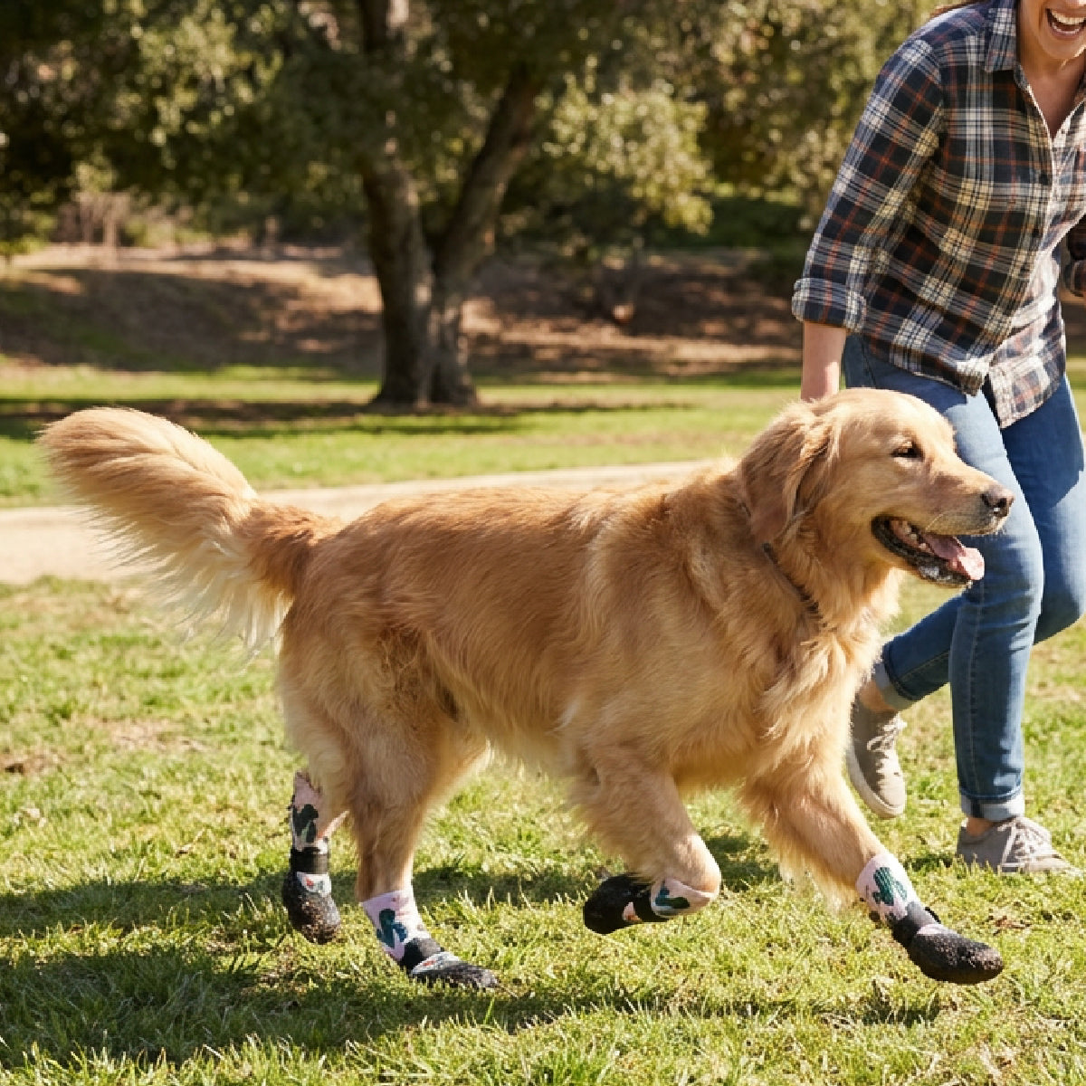 Designer Paw ShoeSocks